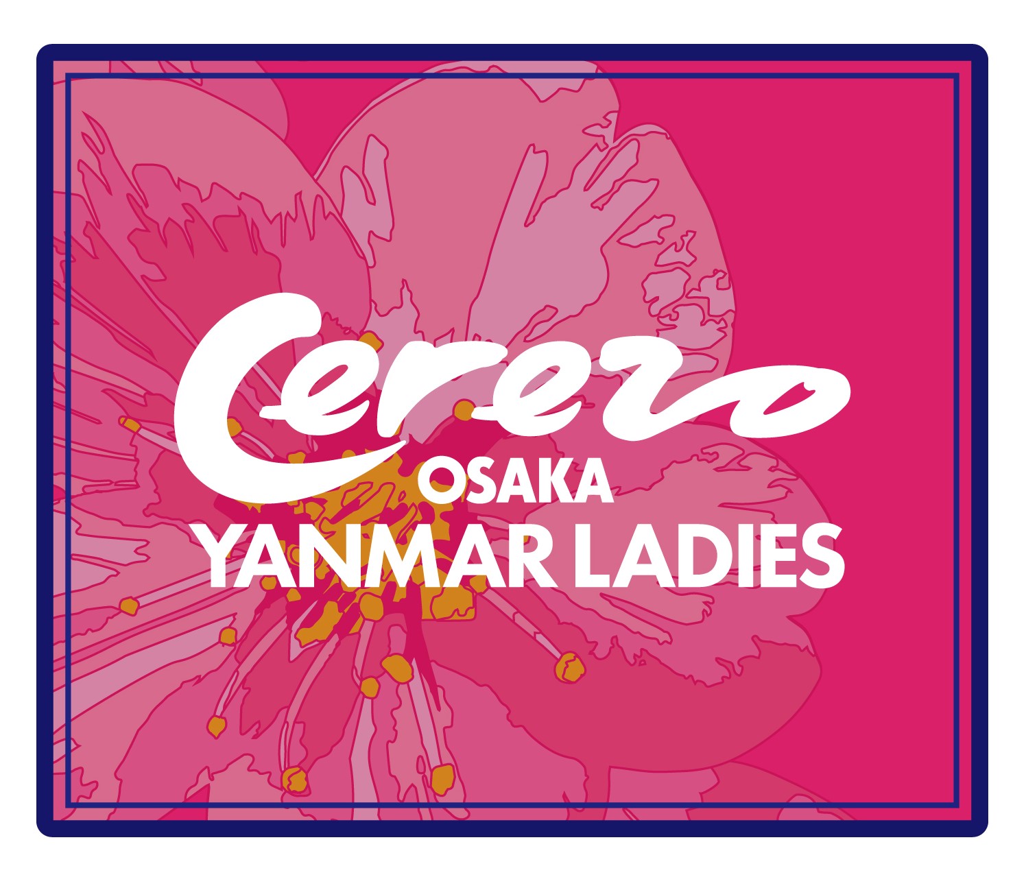 セレッソ大阪ヤンマーレディース　オンサイトカードまとめ売り オンサイトカード セレッソ大阪ヤンマーレディース第1弾 発売の